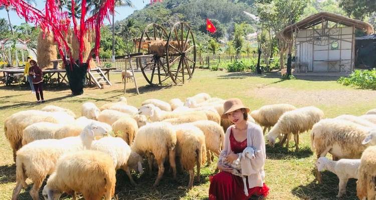 Au départ de Nha Trang : Découverte de Phan Rang et de la baie de Vinh Hy - Lavyla Tourist 10
