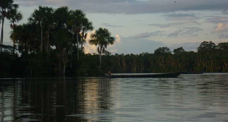 3 días reserva natural amazónica de la selva de Tambopata Puerto Maldonado - QUECHUAS EXPEDITIONS PERU 1