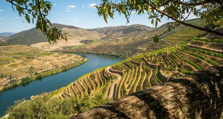 Portugal : Lisbonne, Algarve tout compris avec croisière dans la vallée du Douro - Wanderful Holidays LLC 6