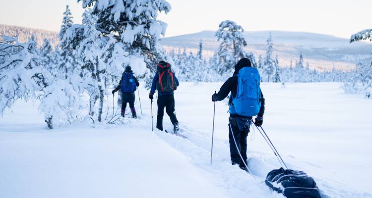 Ski de Trek et plaisirs de l'hiver dans les forêts et collines reculées de Suède - Do the North 3