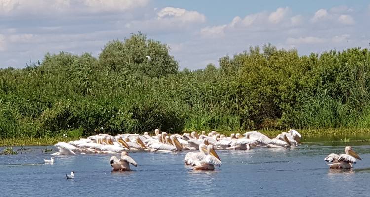 4 jours au cœur du delta du Danube - Unique au Monde 2