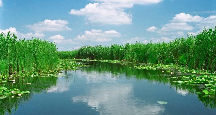 5 días en el corazón del delta del Danubio - Unique au Monde 2