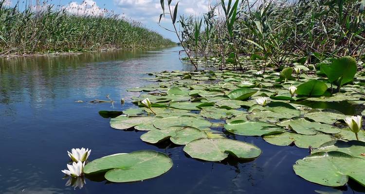 5 días en el corazón del delta del Danubio - Unique au Monde 5