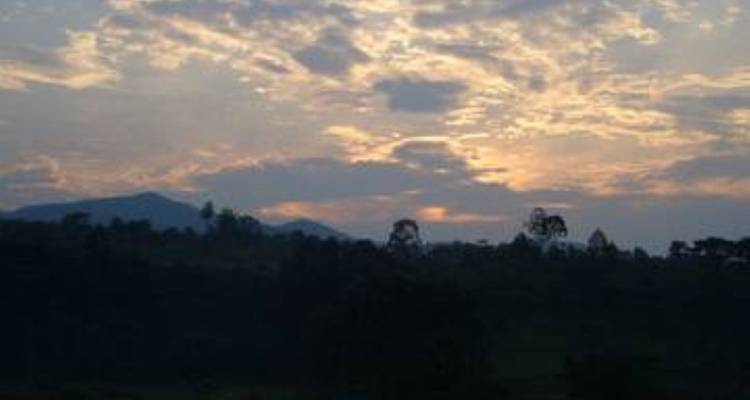 Circuito de 3 días a la selva de Bwindi, Uganda - Opción de vuelo - Perfect Wilderness Tours And Safaris 6