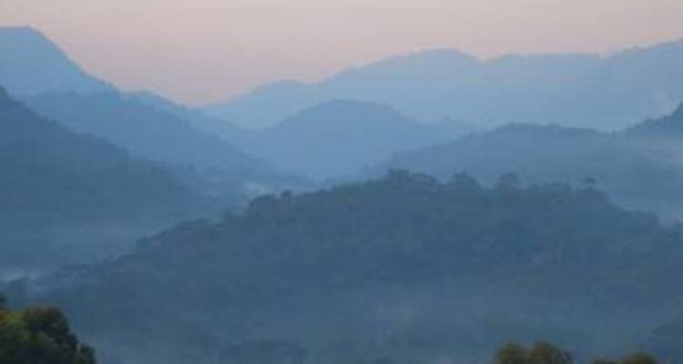 Circuito de 3 días a la selva de Bwindi, Uganda - Opción de vuelo - Perfect Wilderness Tours And Safaris 7