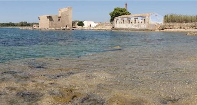Kustgezicht met historische gebouwen aan het water.