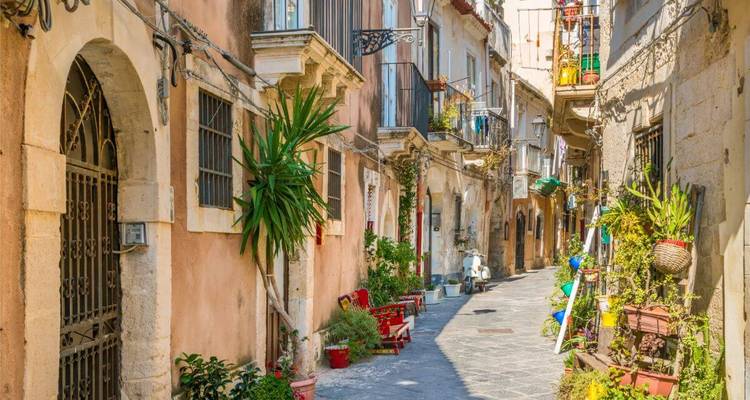 Charmante straat met weelderig groen en bloemen.