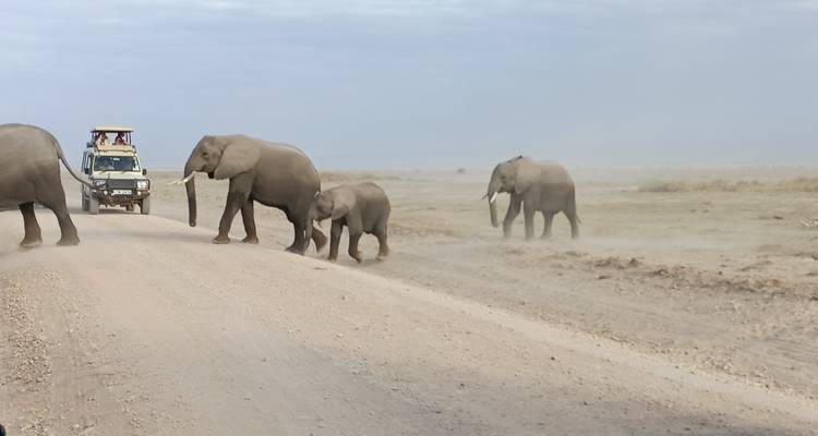 Maasai Cultural Tour - Holiday Destination Safaris 3