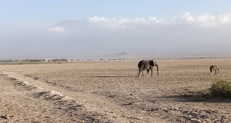 Maasai Cultural Tour - Holiday Destination Safaris 4