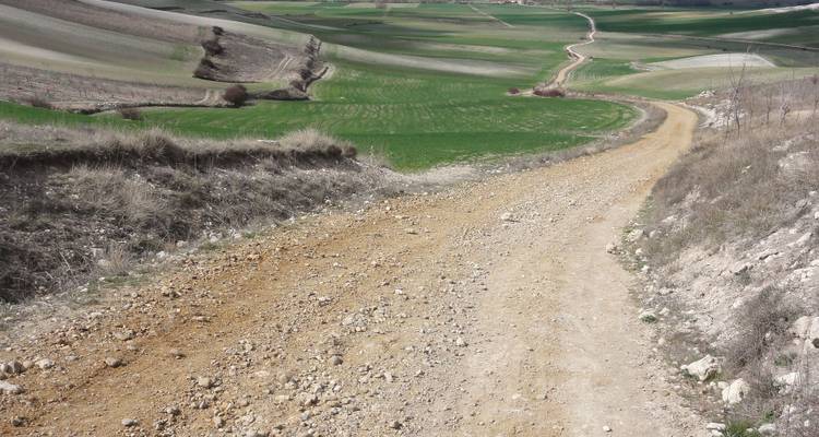 Een zandpad dat zich uitstrekt in een landelijk landschap met velden.