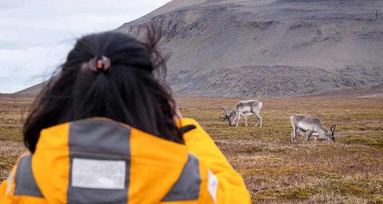 Tres islas árticas: Islandia, Groenlandia y Spitsbergen - Intrepid Travel 2