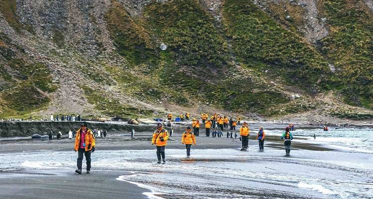 Tres islas árticas: Islandia, Groenlandia y Spitsbergen - Intrepid Travel 6
