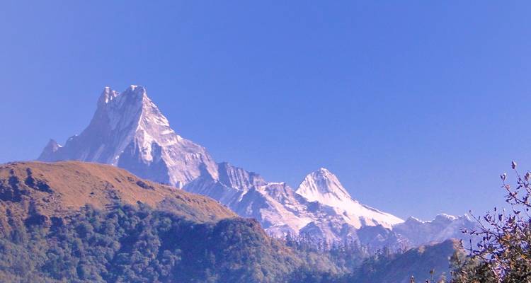 6 jours de Trek au camp de base de l'Annapurna - Frolic Adventure Pvt. Ltd. 2