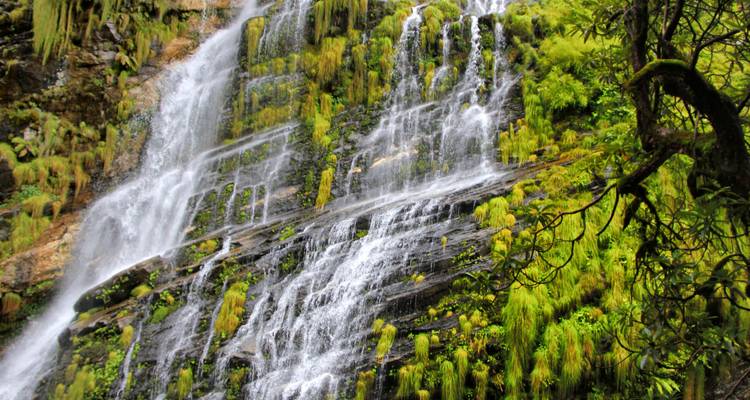 6 jours de Trek au camp de base de l'Annapurna - Frolic Adventure Pvt. Ltd. 7