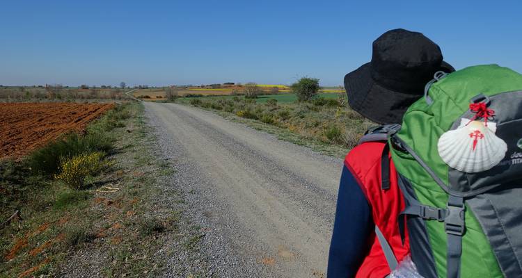 Una persona con una mochila en un sendero rural.
