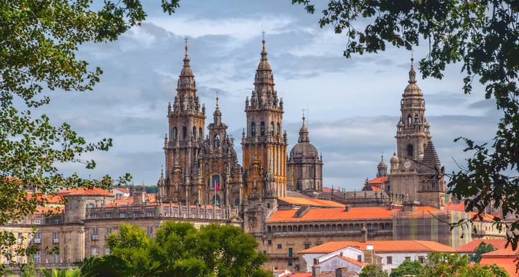 The Cathedral of Santiago de Compostela framed by trees.