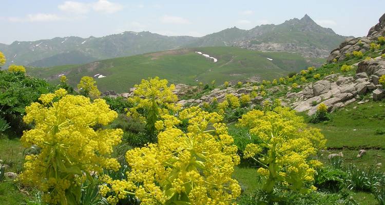 Senderismo a las montañas Zarafshan - 3 días - Zamin Travel 2