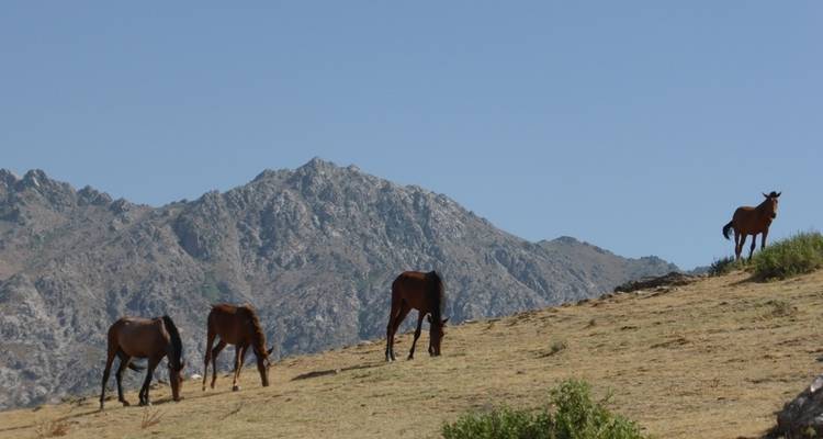 Senderismo a las montañas Zarafshan - 3 días - Zamin Travel 4