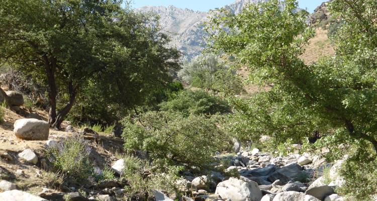 Senderismo a las montañas Zarafshan - 3 días - Zamin Travel 6