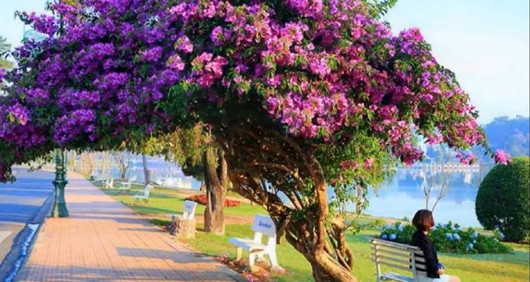 Au départ de Nha Trang : Da Lat : visite de la ville en une journée - Lavyla Tourist 6