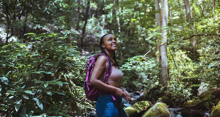 "Verdadera Aventura" Vida Salvaje / Senderismo / Selva Tropical [13 Días Confort] - showlanka tours  1