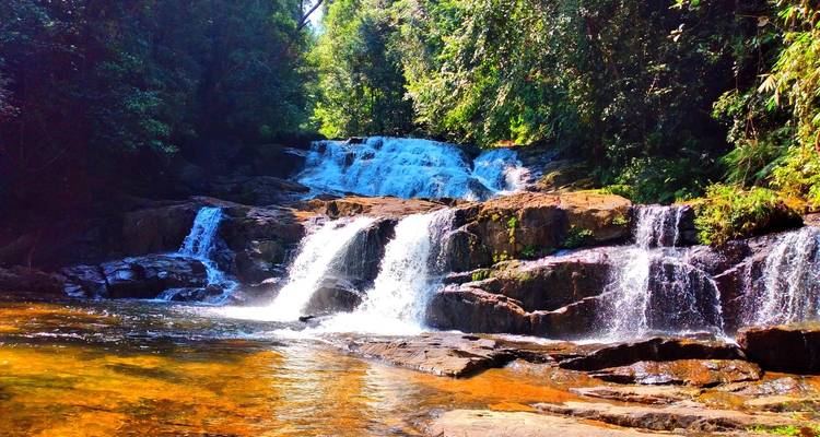 "Verdadera Aventura" Vida Salvaje / Senderismo / Selva Tropical [13 Días Confort] - showlanka tours  3
