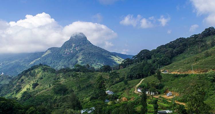 "Verdadera Aventura" Vida Salvaje / Senderismo / Selva Tropical [13 Días Confort] - showlanka tours  8