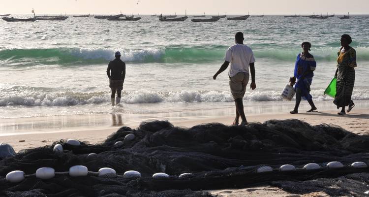 Senegal y Gambia: Una odisea cultural y faunística - Penguin Travel 3