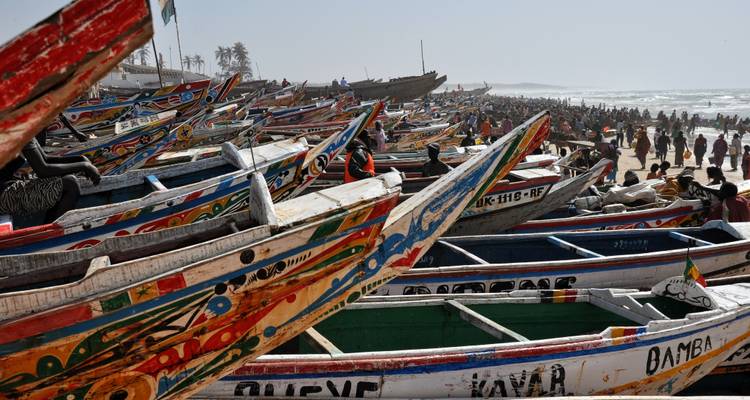 Senegal y Gambia: Una odisea cultural y faunística - Penguin Travel 6