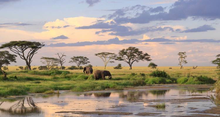 Circuito de 10 días - Ascensión al Kilimanjaro y Safari - Kilisa Tours & Safaris 2