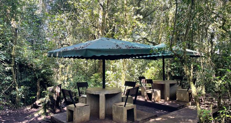 Outdoor seating area in the forest with chairs and tables.