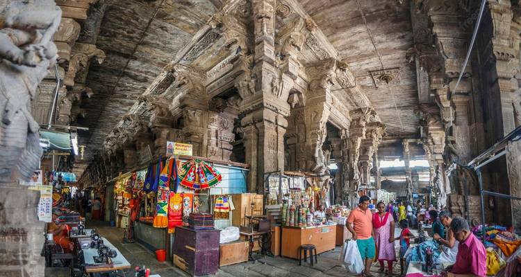 De Nueva Delhi al sur de la India en tren [34 días] - TTI TOURS 10