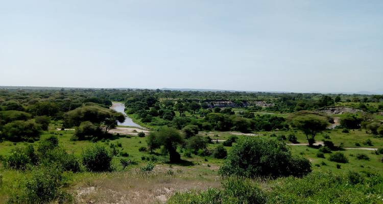 Tarangire National Park Day Trip Safari - Marangu Treks 1