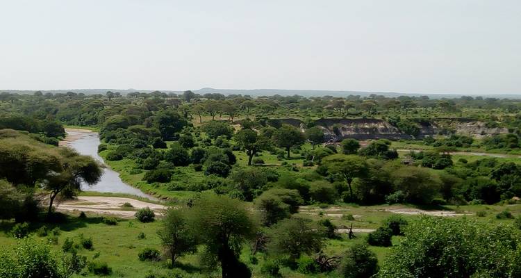 Tarangire National Park Day Trip Safari - Marangu Treks 3