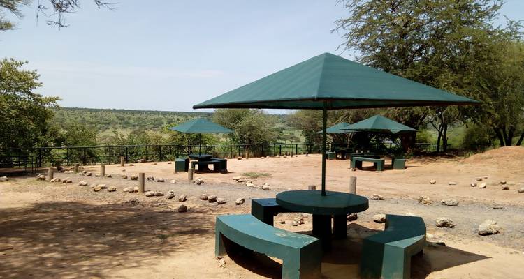 Tarangire National Park Day Trip Safari - Marangu Treks 4
