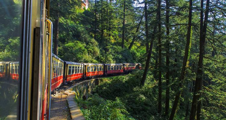 Trein die door een dicht bosgebied in de heuvels navigeert.