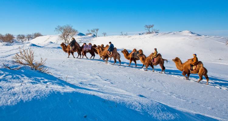 Menschen, die auf Kamelen reiten, in einer schneereichen Landschaft unter einem klaren blauen Himmel.