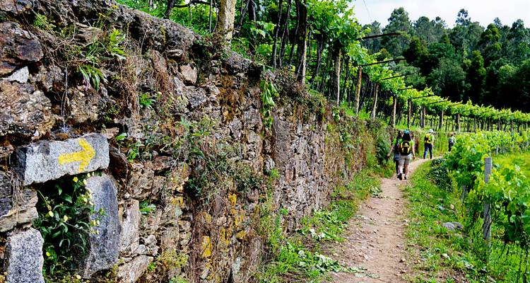 Chemin de Saint-Jacques portugais le long de la côte de Porto à Santiago - Abanico Individuell Reisen 7