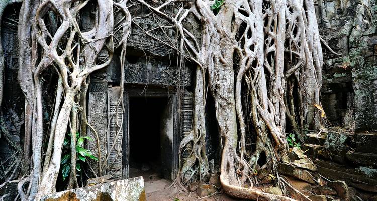 Clásicos Vietnam y Camboya en 9 días - Vietnam Tour Fun 10