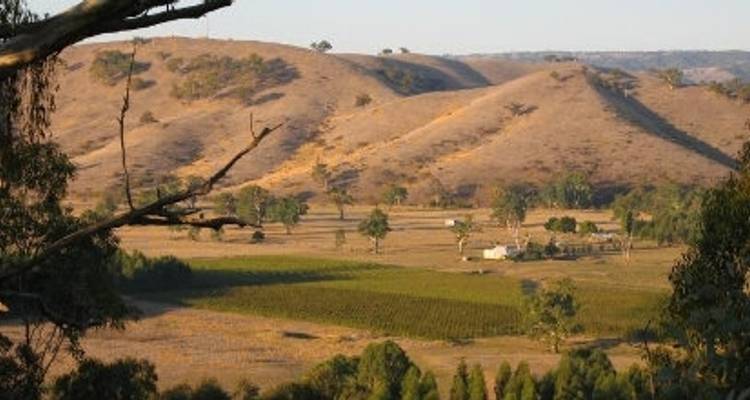 Circuit de Great Victorian Rail Trail (circuit guidé) - Tour de Vines 1