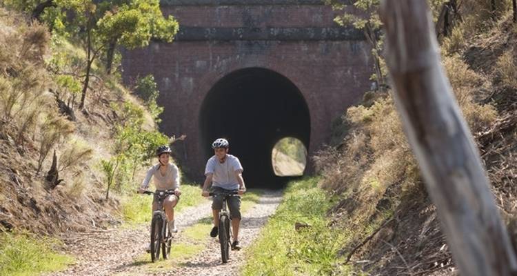 Circuit de Great Victorian Rail Trail (circuit guidé) - Tour de Vines 4