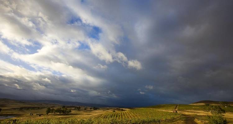 Circuit de Great Victorian Rail Trail (circuit guidé) - Tour de Vines 6
