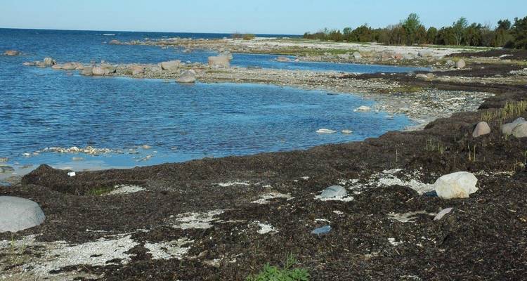Circuito autoguiado en bicicleta con apoyo por Letonia y Estonia - de Riga a Tallin - Baltic Bike Travel UAB 6