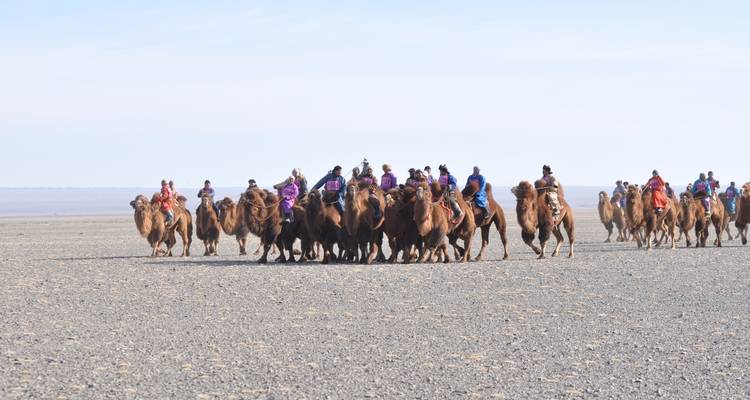 Groupe de personnes sur des chameaux dans un paysage désertique aride.
