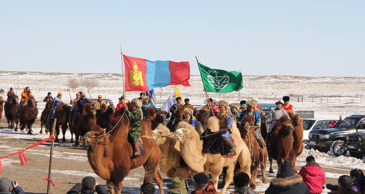 Défilé de chameaux avec des gens portant des drapeaux.