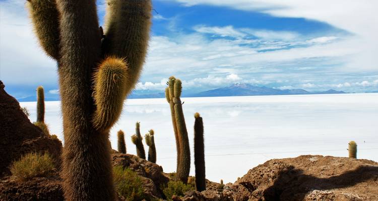 Lo mejor de Uyuni, el Salar y todas las lagunas: circuito privado de 3 días - Peru Trek 4 Good 4