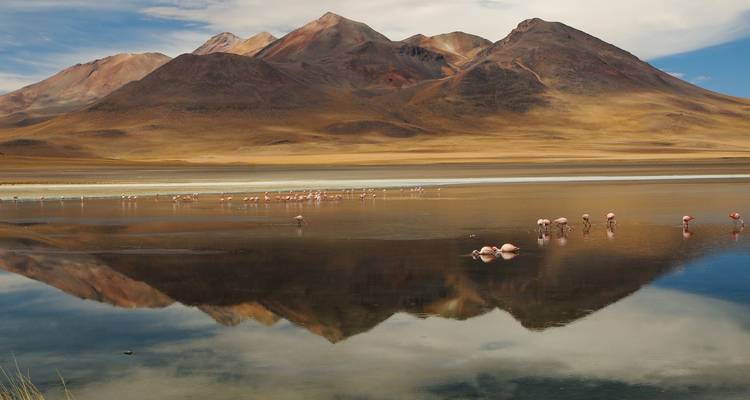 Lo mejor de Uyuni, el Salar y todas las lagunas: circuito privado de 3 días - Peru Trek 4 Good 8