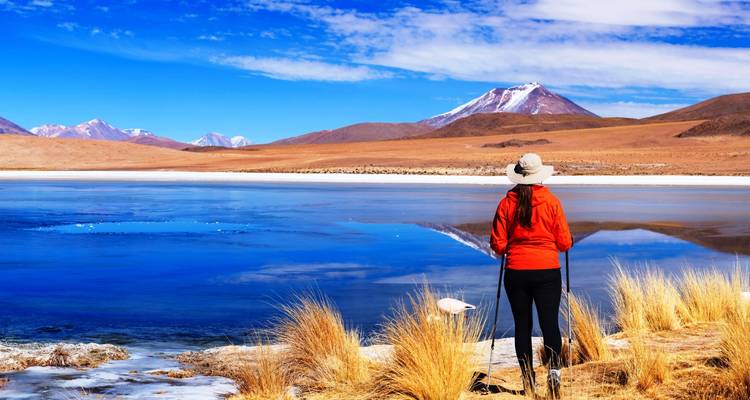 Lo mejor de Uyuni, el Salar y todas las lagunas: circuito privado de 3 días - Peru Trek 4 Good 9