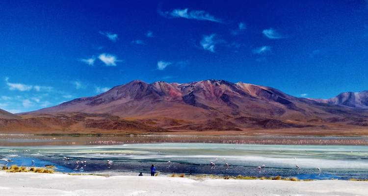 Lo mejor de Uyuni, el Salar y todas las lagunas: circuito privado de 3 días - Peru Trek 4 Good 10