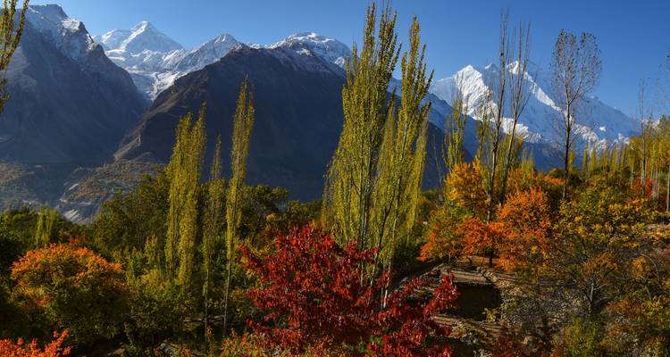 Couleurs d'automne dans une vallée avec des montagnes enneigées.